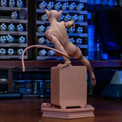 Catwoman (Long Halloween)