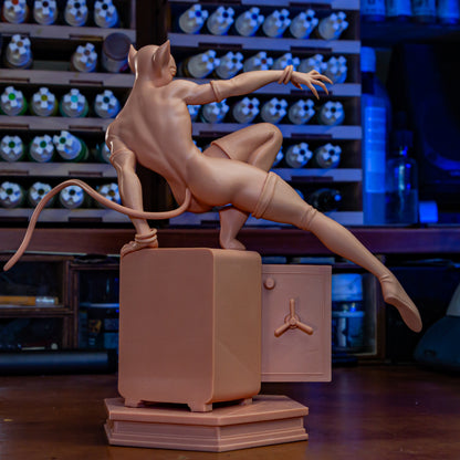 Catwoman (Long Halloween)