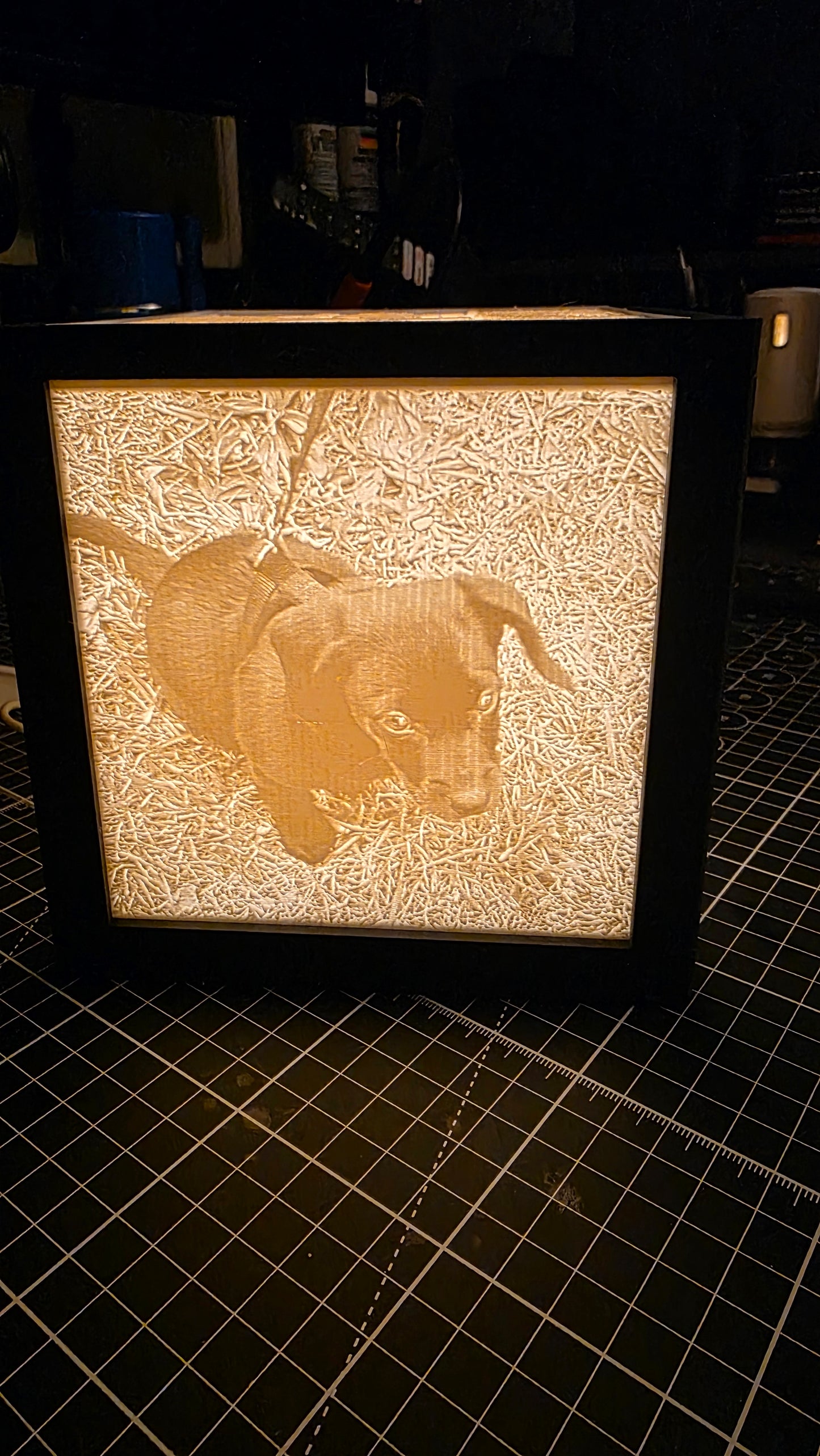 Customized Lithophane Cube